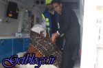 عروس به جای رفتن به منزل بخت راهی بیمارستان شد