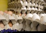 تخممرغ در صدر قیمت کالاهای خوراکی